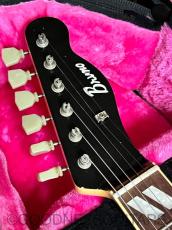 Bruno Guitars Bruno TN-295 GT_3