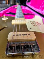 Bruno Guitars Bruno TN-295 GT_4