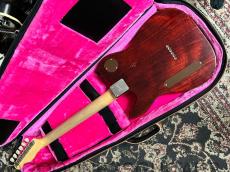 Bruno Guitars Bruno TN-295 GT_5