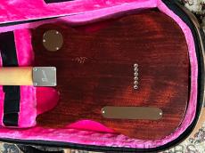 Bruno Guitars Bruno TN-295 GT_6