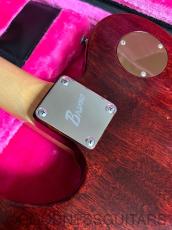 Bruno Guitars Bruno TN-295 GT_9