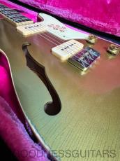 Bruno Guitars Bruno TN-295 GT_10