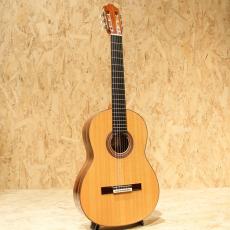 Yukichi Furuta Spruce Jacaranda 2010_3