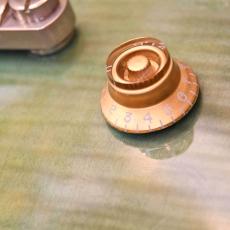 Epiphone Tak Matsumoto DC Standard_4