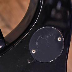 Epiphone Tak Matsumoto DC Standard_6