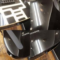 FERNANDES TE-95HT_7