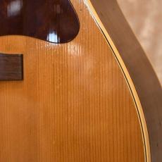 Gibson J-50_6
