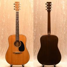 Martin D-18_2