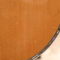 Gibson J-200_9
