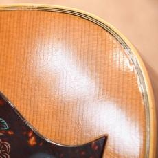 Gibson 60s DOVE_7