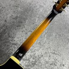 Ibanez GB-10 George Benson BS : Brown Sunburst s/n F2531703【3.46kg】【フルアコ】_8