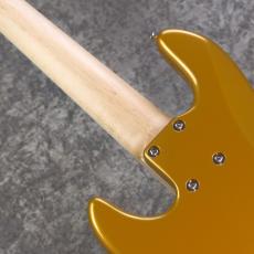 XOTiC XJ-Core 5st -Firemist Gold - 【4.02kg】_9