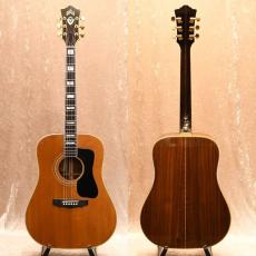 Guild D-55_2