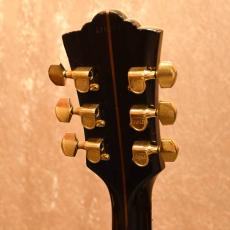 Guild D-55_4
