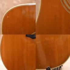 Guild D-55_8