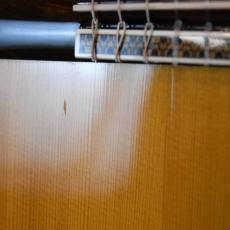ASTURIAS CUSTOM S_5