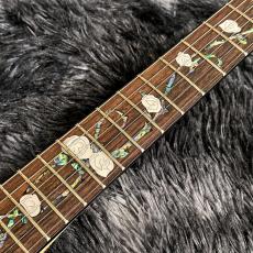 Aria Pro II TEG-780 N (Natural) 【特価】【限定モデル】_6