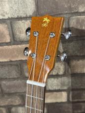 ILIKAI TEN-4MGG【テナーサイズ】【単板モデル】【ハードケース付属】_3