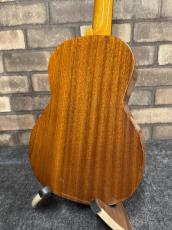 ILIKAI TEN-4MGG【テナーサイズ】【単板モデル】【ハードケース付属】_5