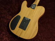 Fender FINNEAS Signature Acoustasonic Player Telecaster RW Cappuccino Fade_4