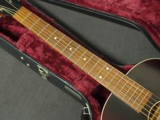 Waterloo WL-14XTR Sunburst【ロッキン岐阜店12周年記念セール!】_5