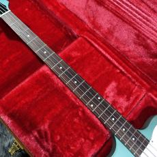 Gibson Non-Reverse Thunderbird Inverness Green_4