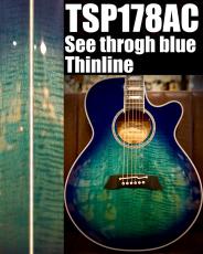Takamine 【9月特別セール】TSP178AC SBB 【薄道ボディ】【オールメイプル】