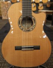 Orpheus Valley Guitars F65CW-7C 7弦 エレガット シダー単板