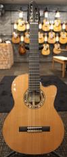 Orpheus Valley Guitars F65CW-7C 7弦 エレガット シダー単板_2