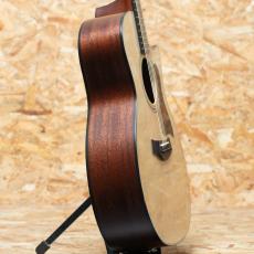 Taylor 314c_4