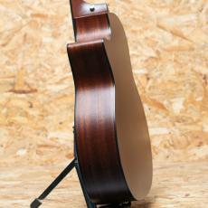 Taylor 314c_5