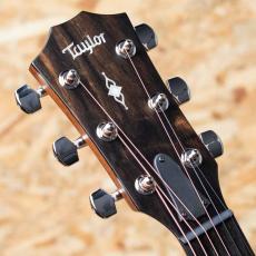 Taylor 314c_8