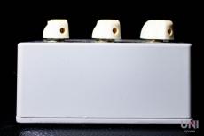 Pete CORNISH P-2 FUZZ_6