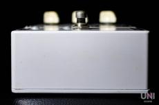 Pete CORNISH P-2 FUZZ_7