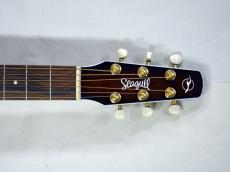 Seagull(Canada) Performer CW CH Burnt Umber QIT_2