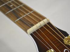Seagull(Canada) Performer CW CH Burnt Umber QIT_5