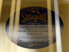Seagull(Canada) Performer CW CH Burnt Umber QIT_8