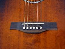 Seagull(Canada) Performer CW CH Burnt Umber QIT_9
