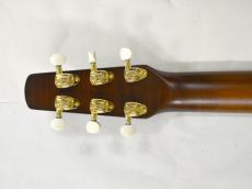 Seagull(Canada) Performer CW CH Burnt Umber QIT_10