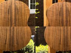 Lowden 【日本総本店】【弦長630mm】THE S01【ショッピングクレジット無金利キャンペーン】_7