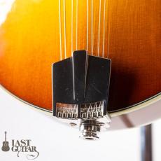 Eastman MD615 Goldburst_3