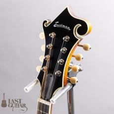Eastman MD615 Goldburst_6