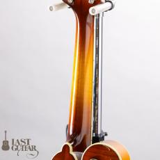 Eastman MD615 Goldburst_8