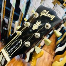 Gibson Humming Bird_3