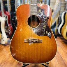 Gibson Humming Bird_5