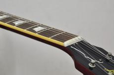 Burny RLG-70_5