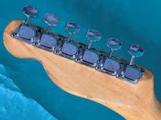 Fender TELECASTER THINLINE MAHOHANY_6