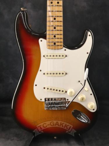 Fender 1975 STRATOCASTER Alder / Maple