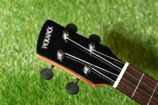 PICKAPICK SM3C Concert_5