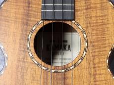 Kamaka HF-3D #240152【テナーデラックス】_4